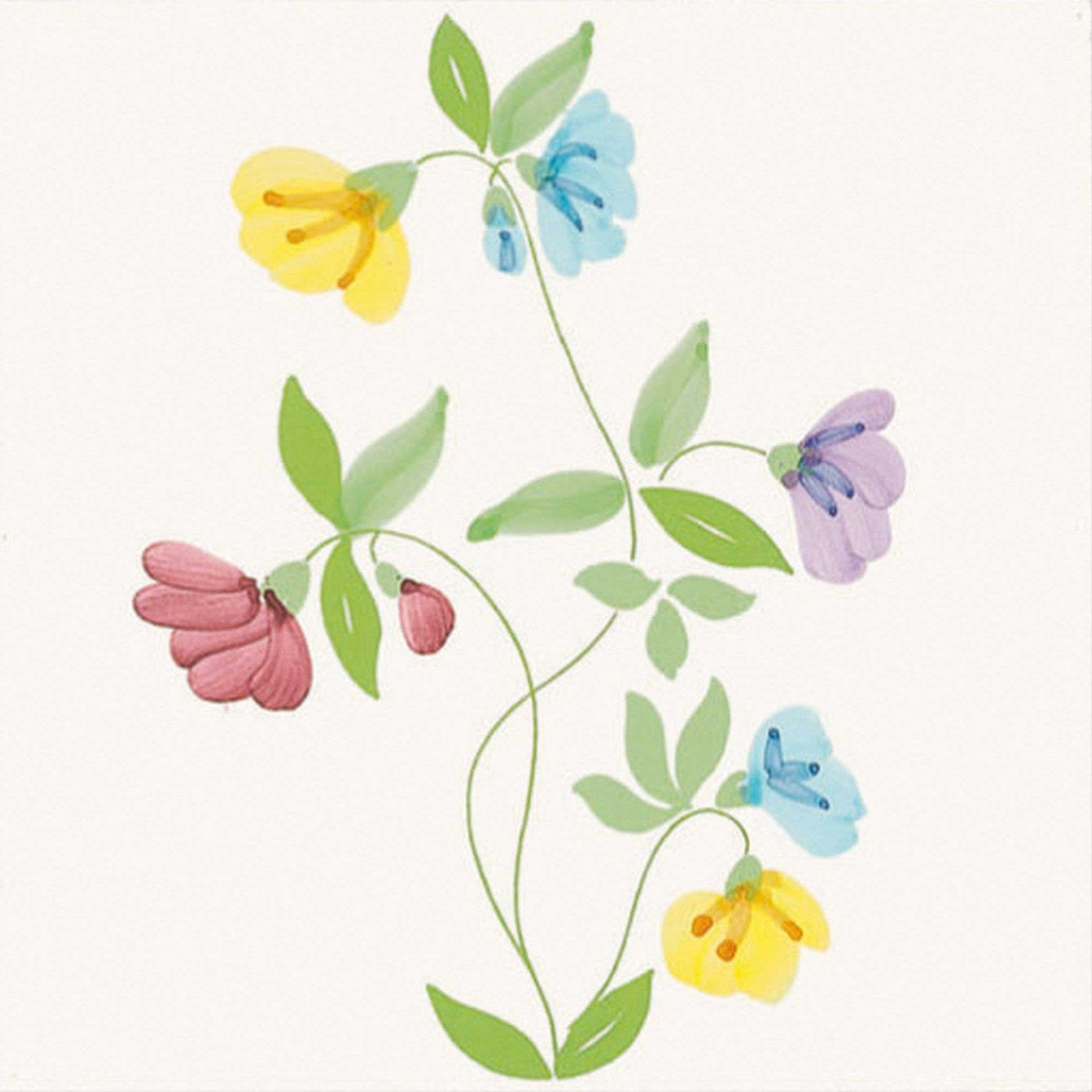 Fresie — Giardini di Maggio — CeVi — Ceramica CeVi seramik yüzey