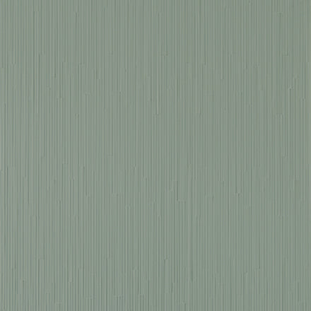 Rain C
