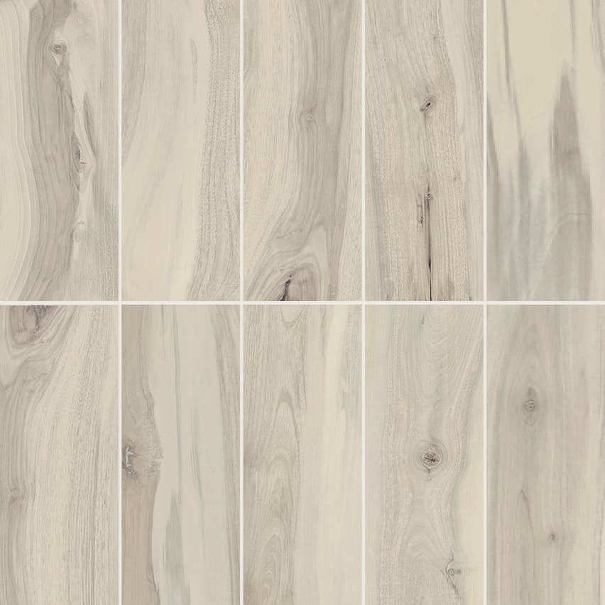 Kauri