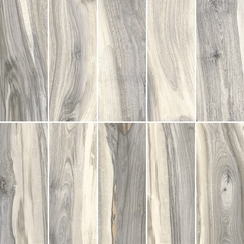 Kauri