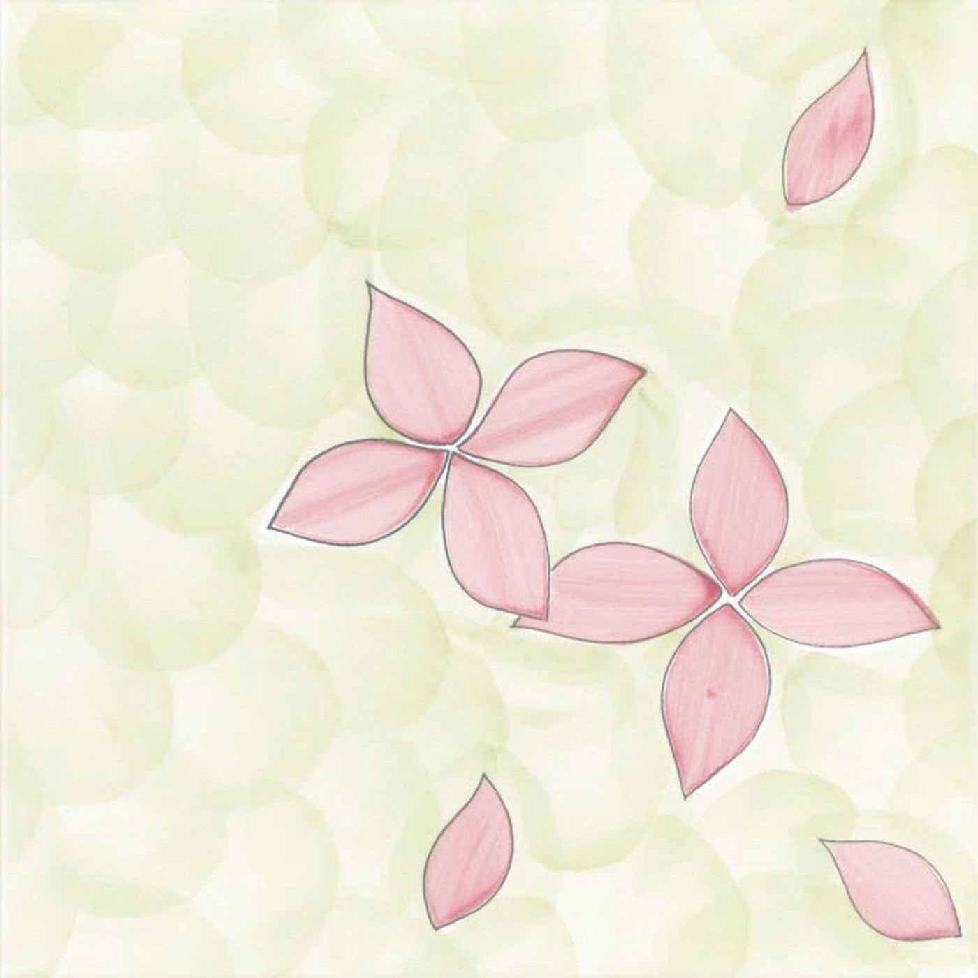 Petali — Giardini Vietresi — CeVi
