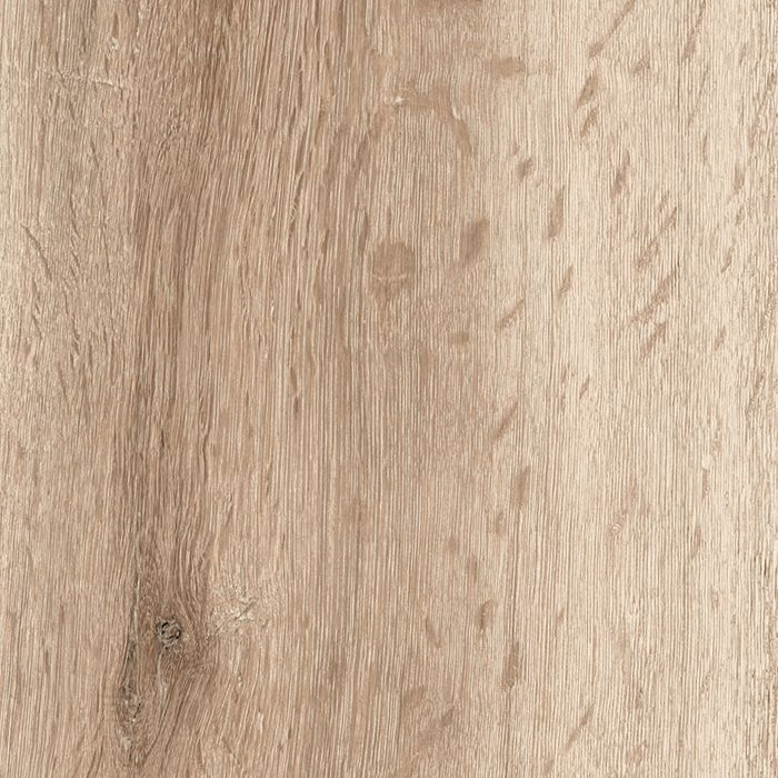 Barkwood Honey