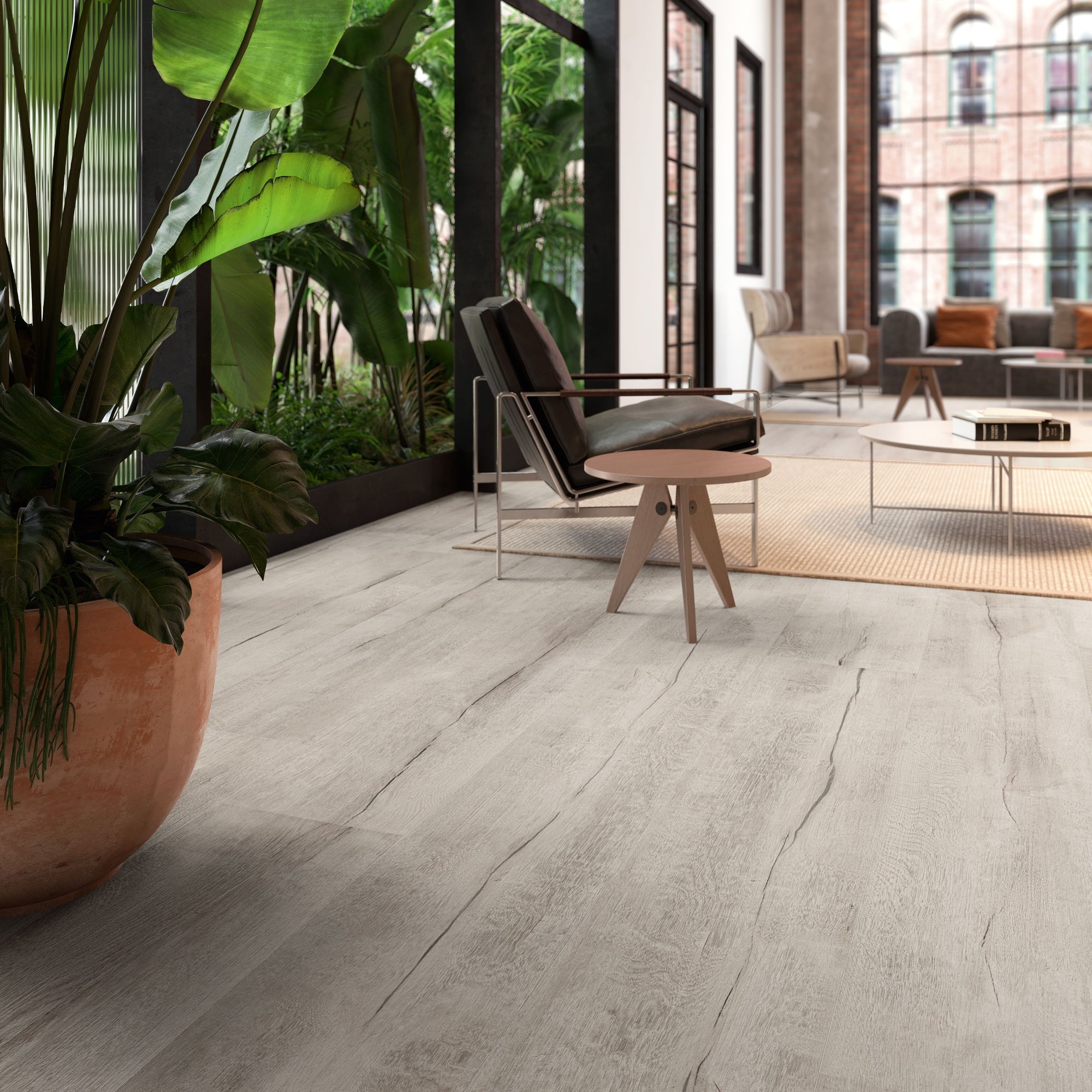 Timewood Grey