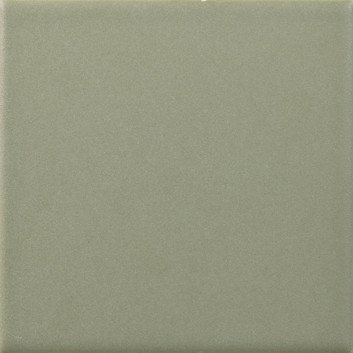 Flora · 10×10 cm