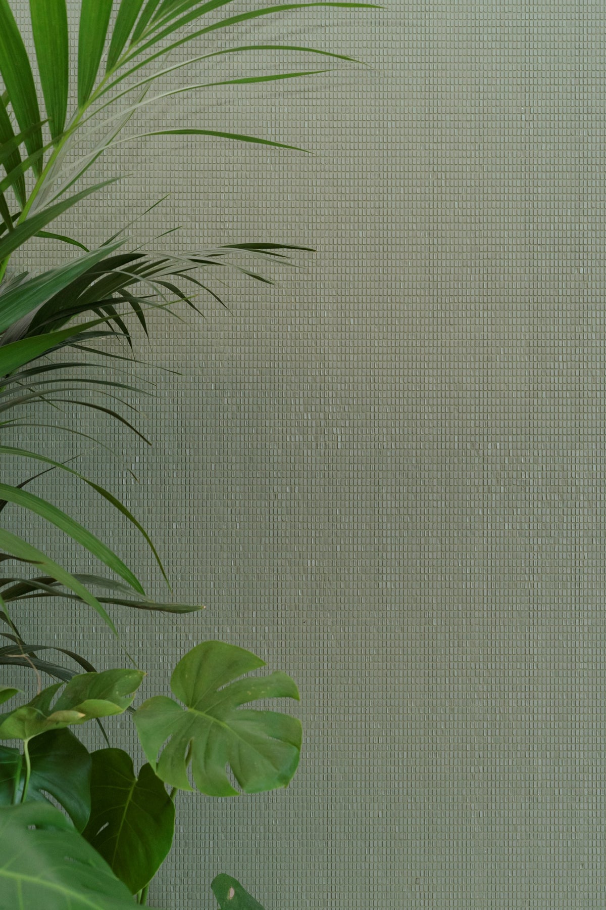Mattoncini — Mosaicomicro ambiyans