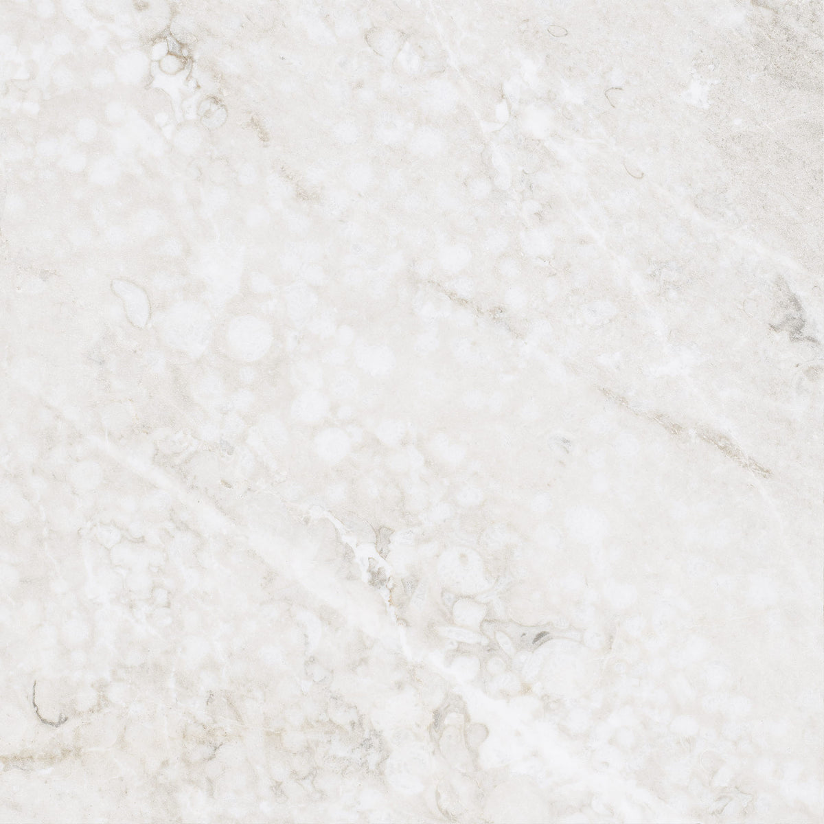 White Matt · 23×23 cm