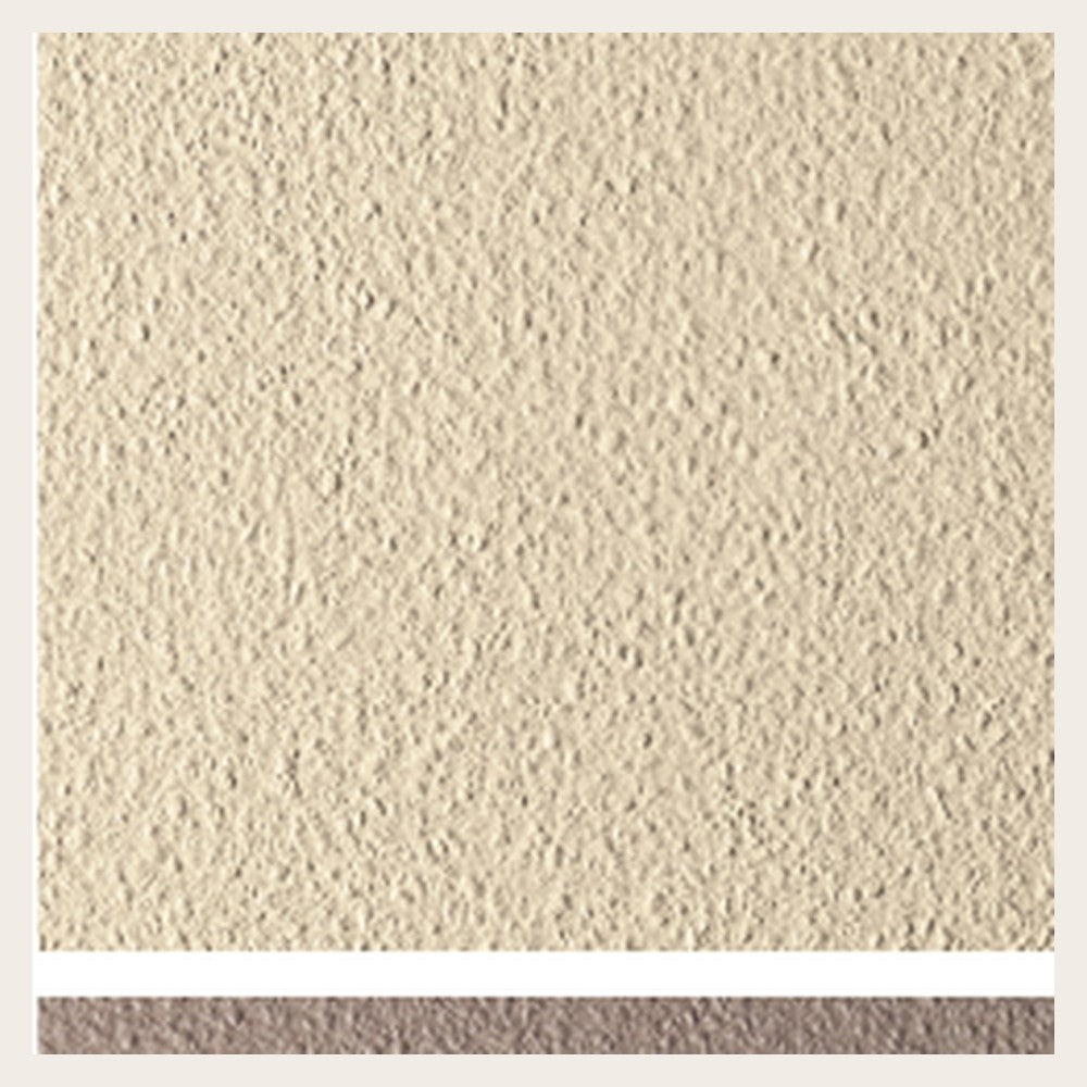 Nok Grains Ivory