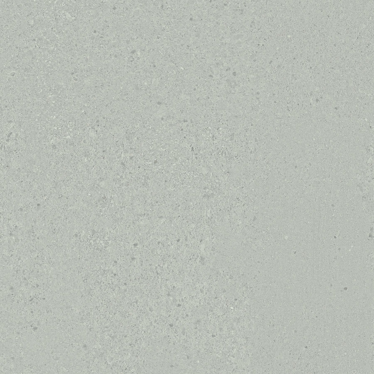 Otto Grigio