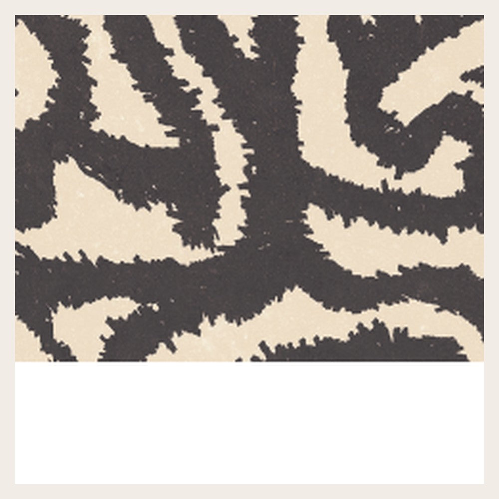 Nok Snake Ebony