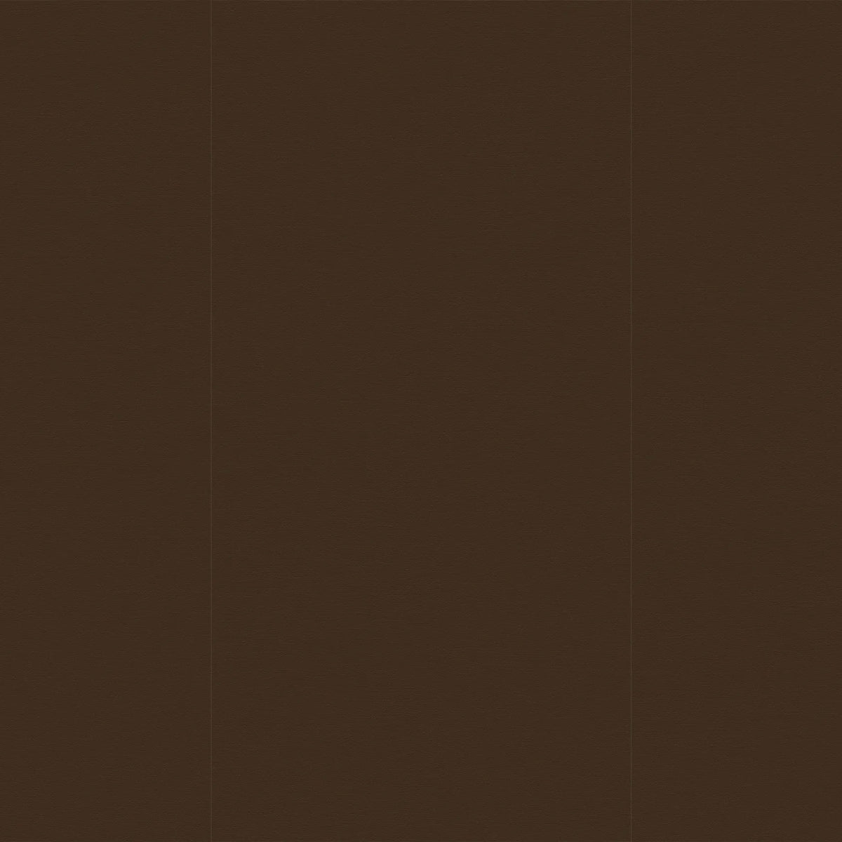 Sodai Leizu Cacao