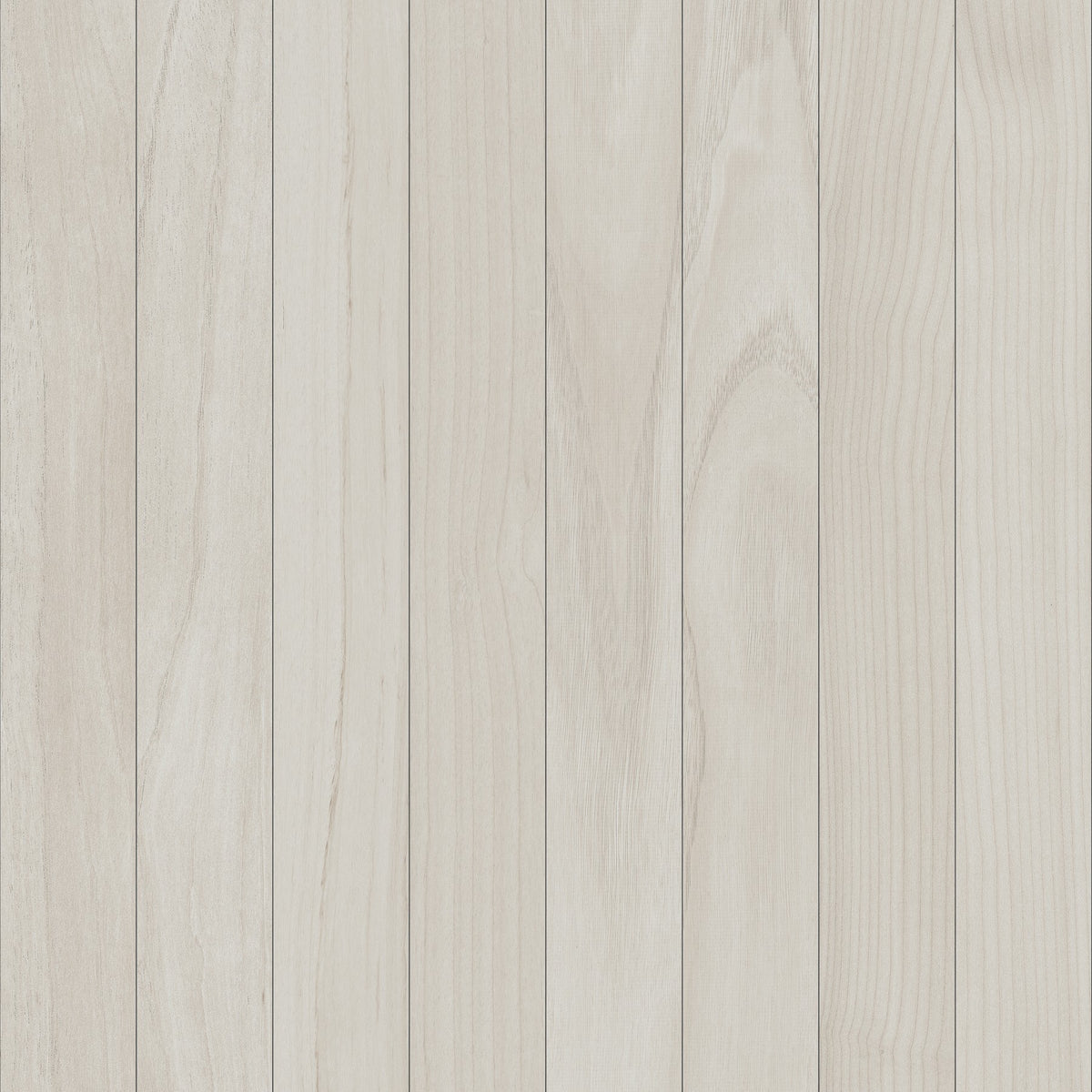 Technicolor TC02 Beige