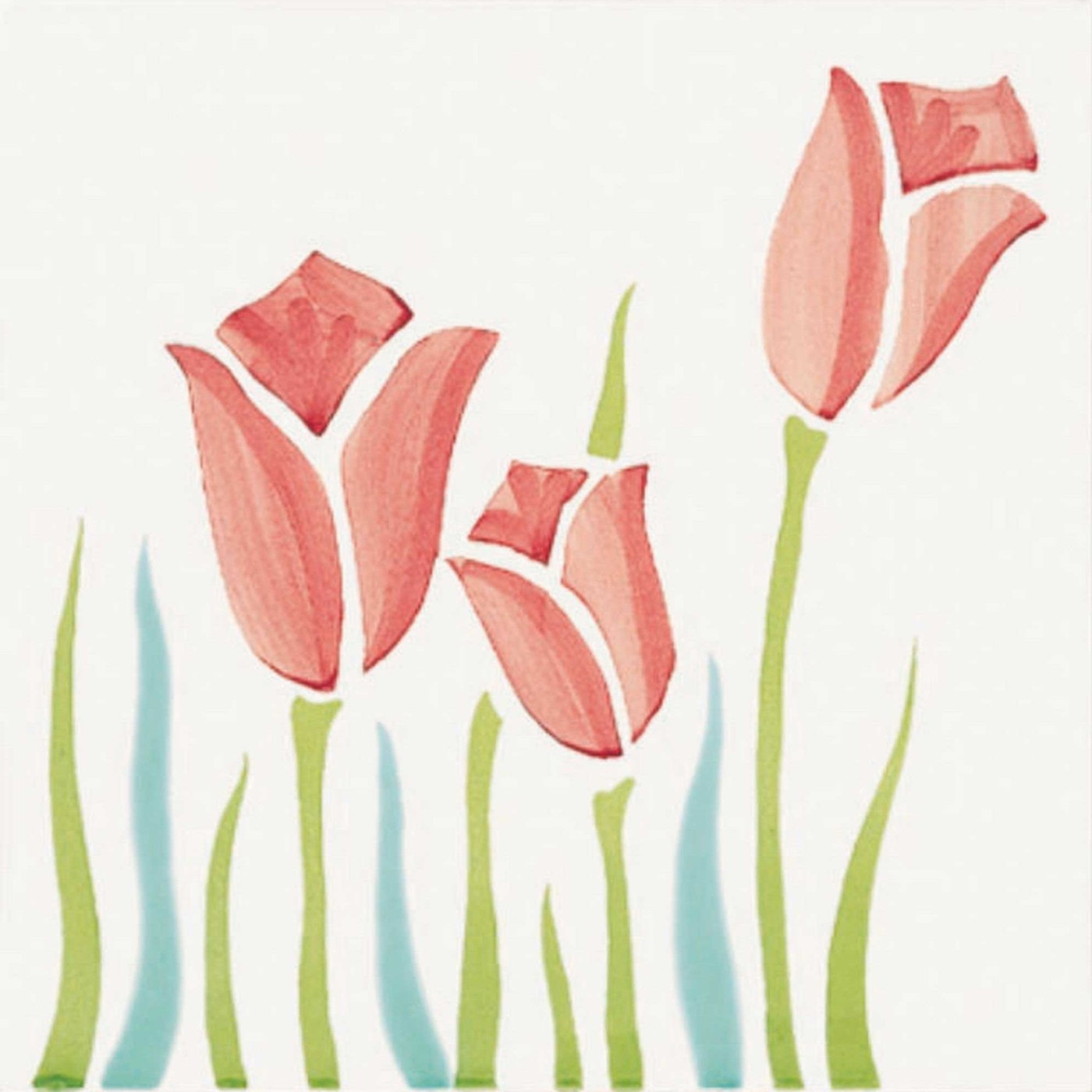 Tulipani — Giardini Vietresi — CeVi