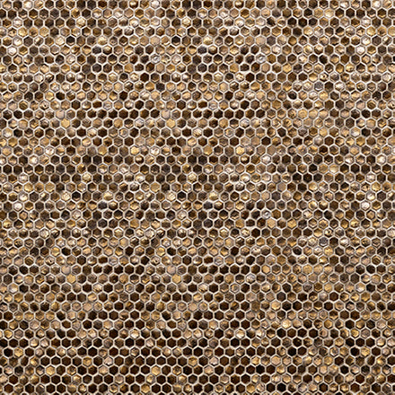 Honeycomb B
