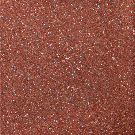Salta Red