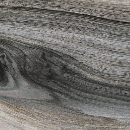 Kauri — La Fabbrica