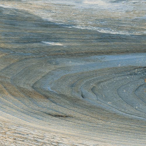 Kauri — La Fabbrica