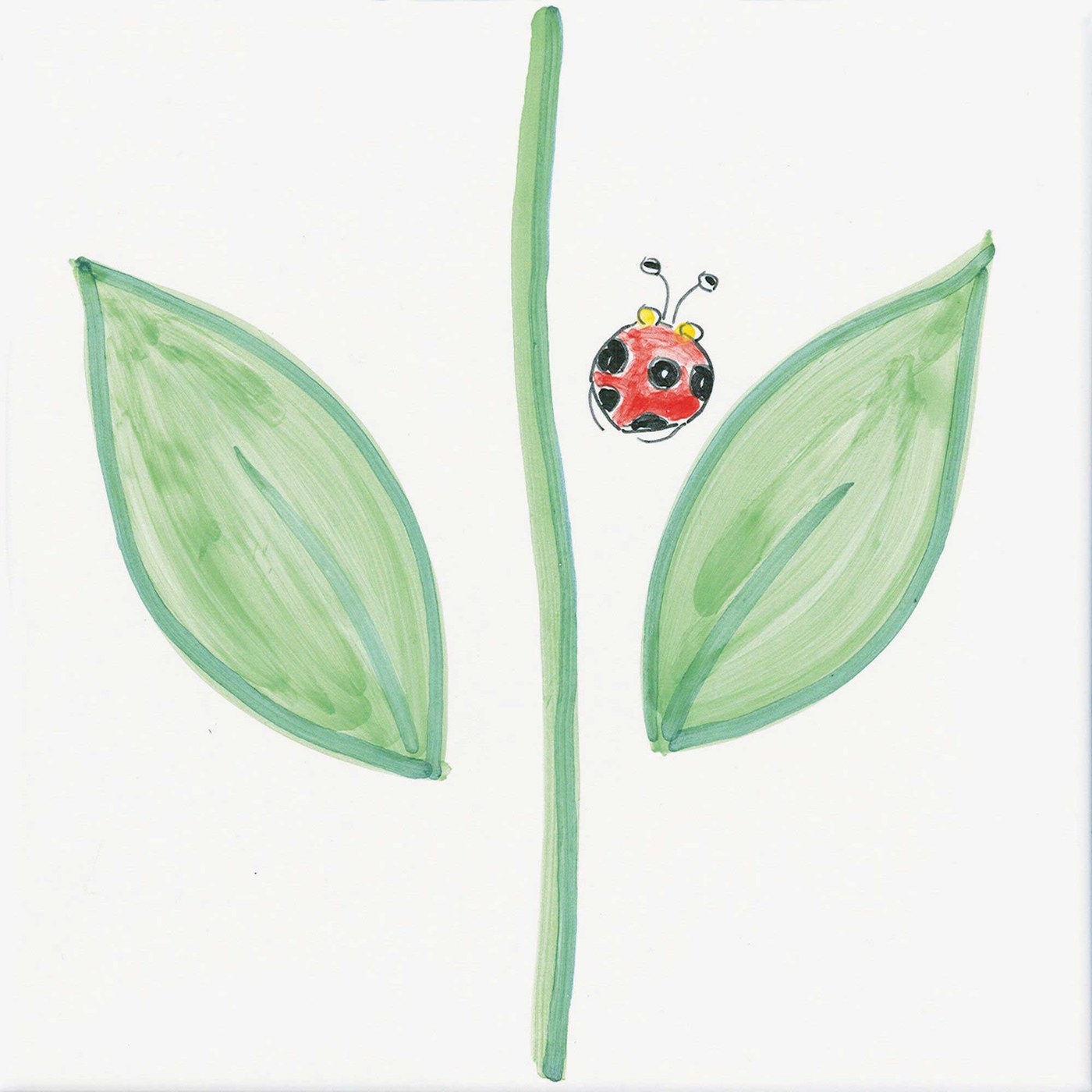 Stelo — Giardino Fiorito — CeVi