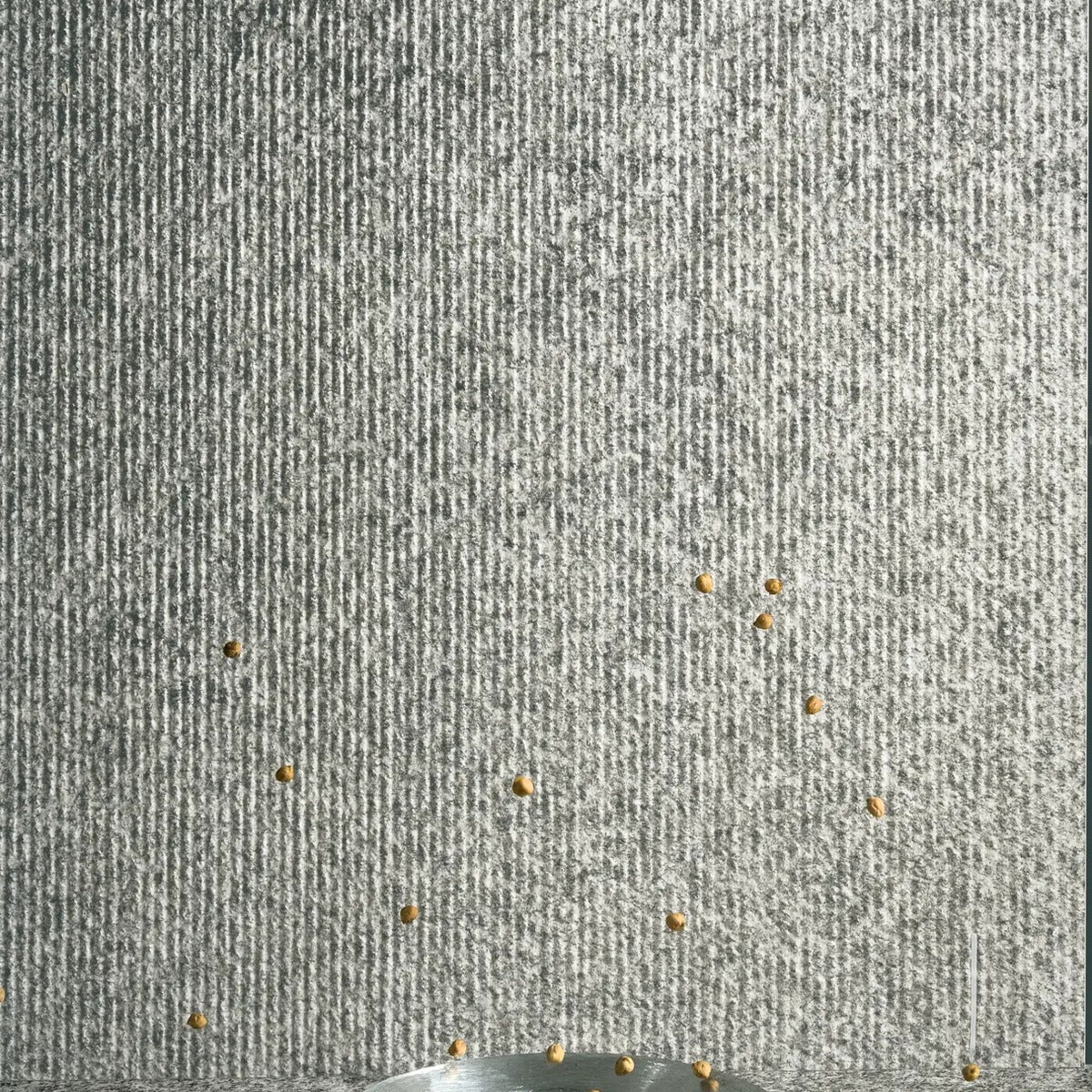 Brutus — doku makro