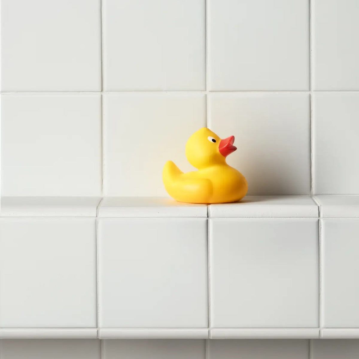 Stories White — banyo duvarı detayı