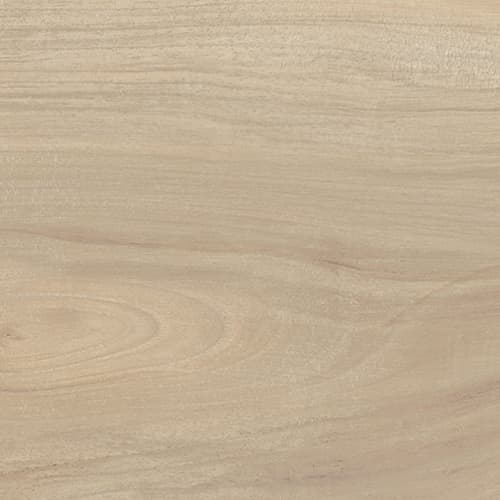 Amazon — La Fabbrica
