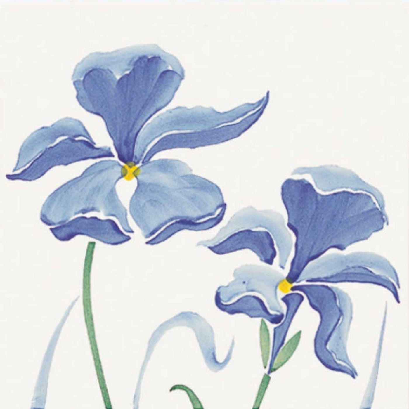 Iris — Giardini Vietresi — CeVi — Ceramica CeVi seramik yüzey