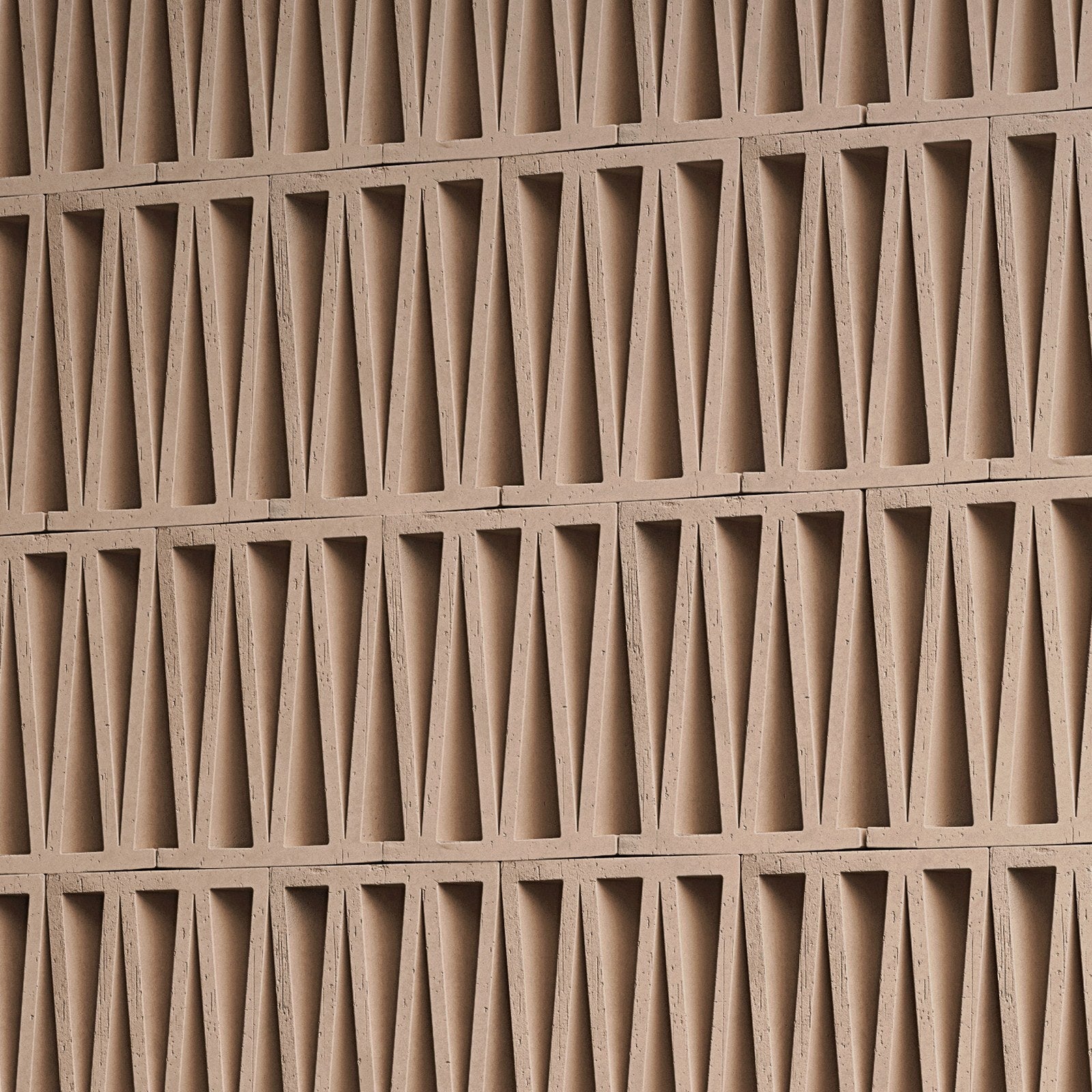 Celosia — Mutina