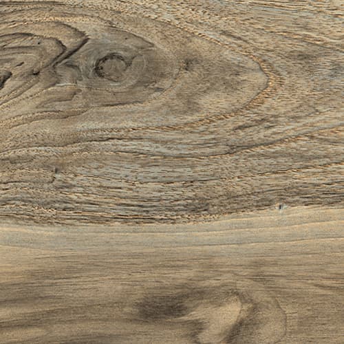 Kauri — La Fabbrica