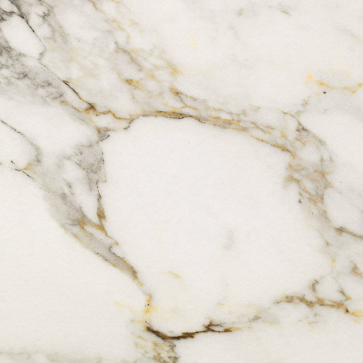 Calacatta Gold