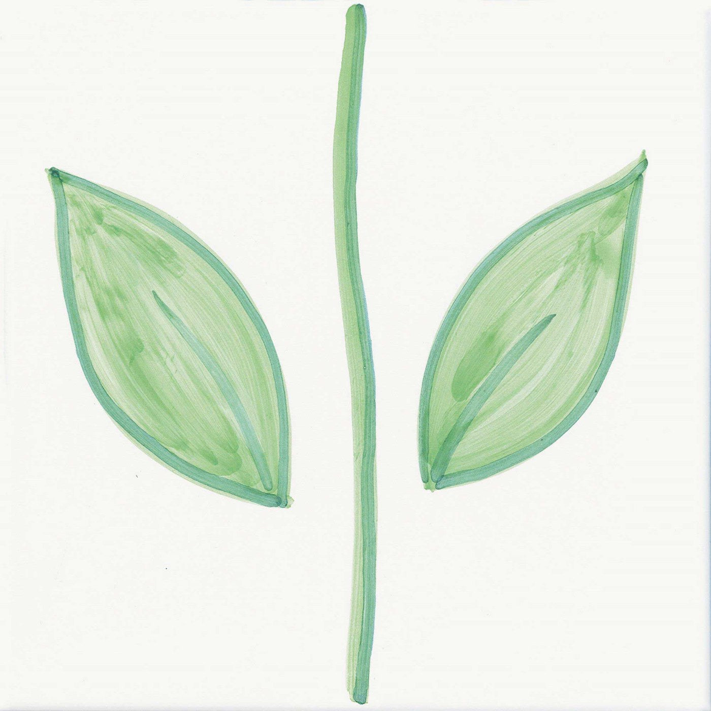 Stelo — Giardino Fiorito — CeVi