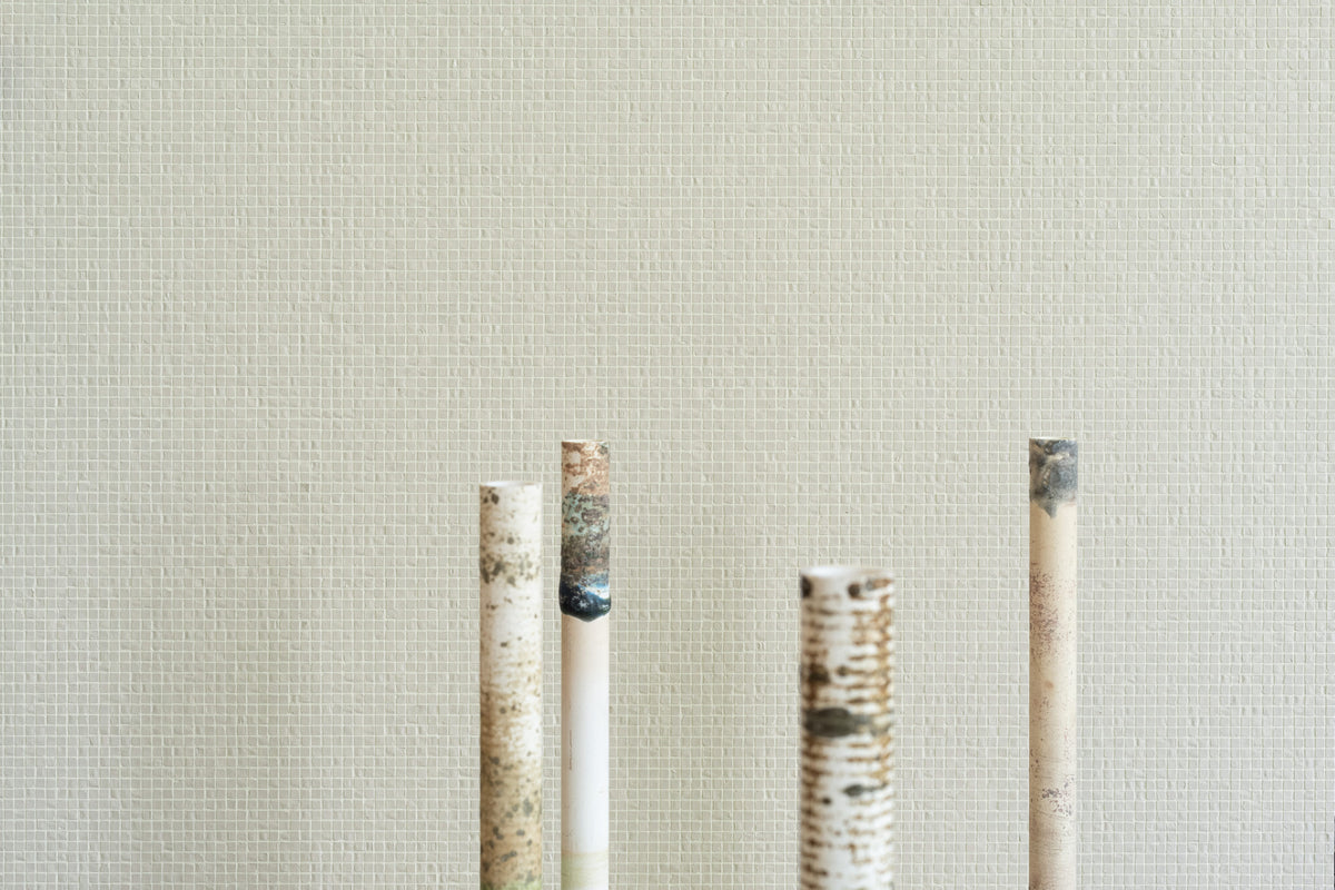 Micro 10 — Mosaicomicro ambiyans
