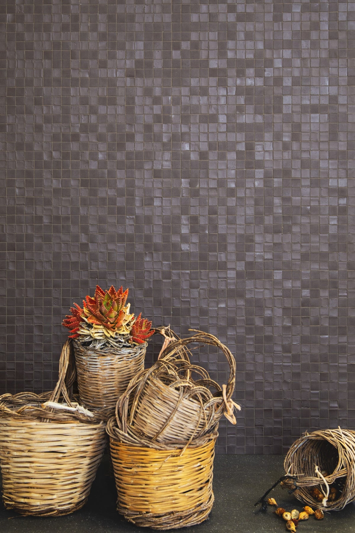 Micro 30 — Mosaicomicro ambiyans