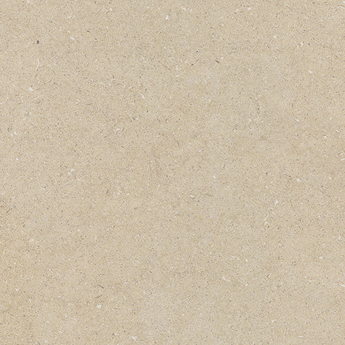 Moon Cream — La Fabbrica