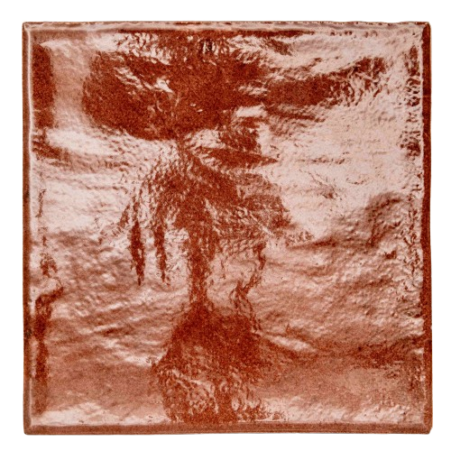 Cotto Glossy · 10×10 cm