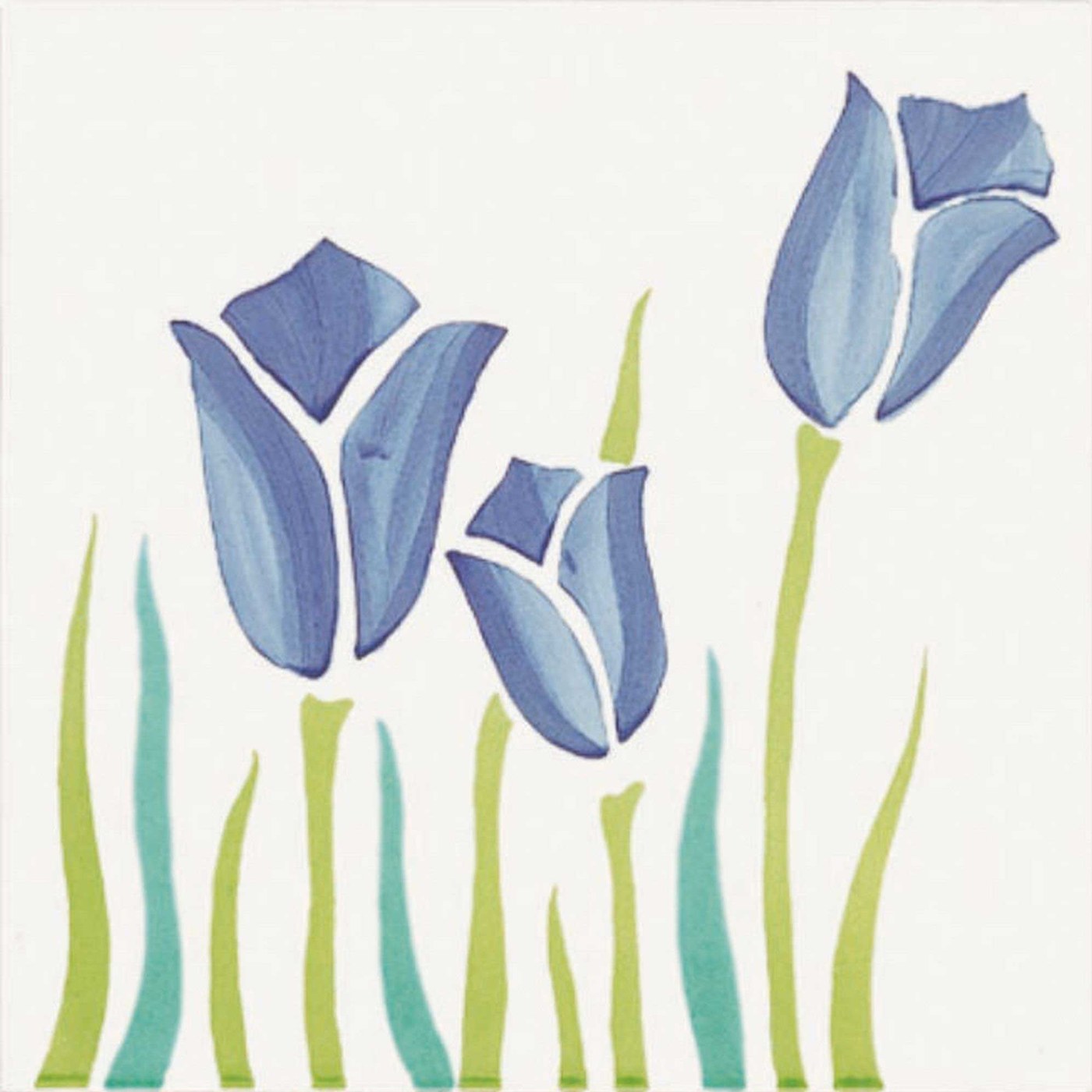 Tulipani — Giardini Vietresi — CeVi