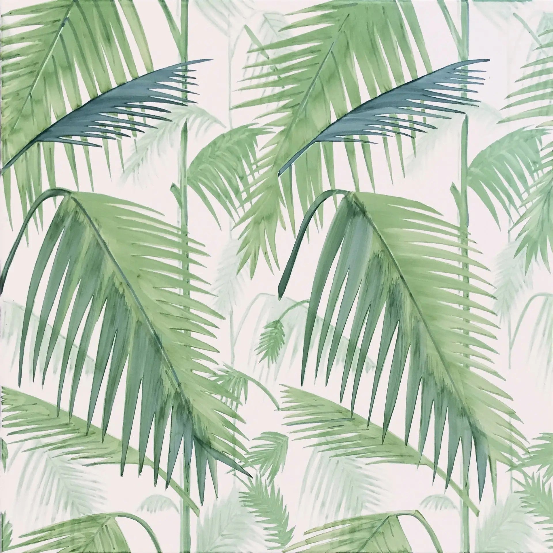 Palm
