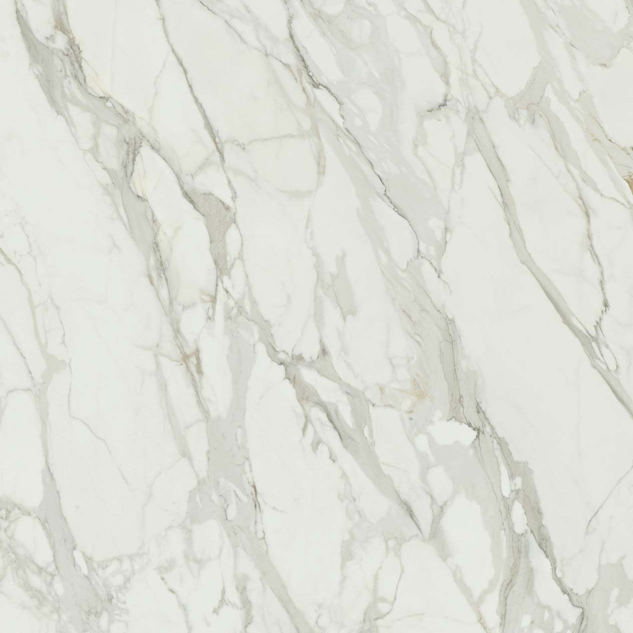 Calacatta Splendido — Energieker