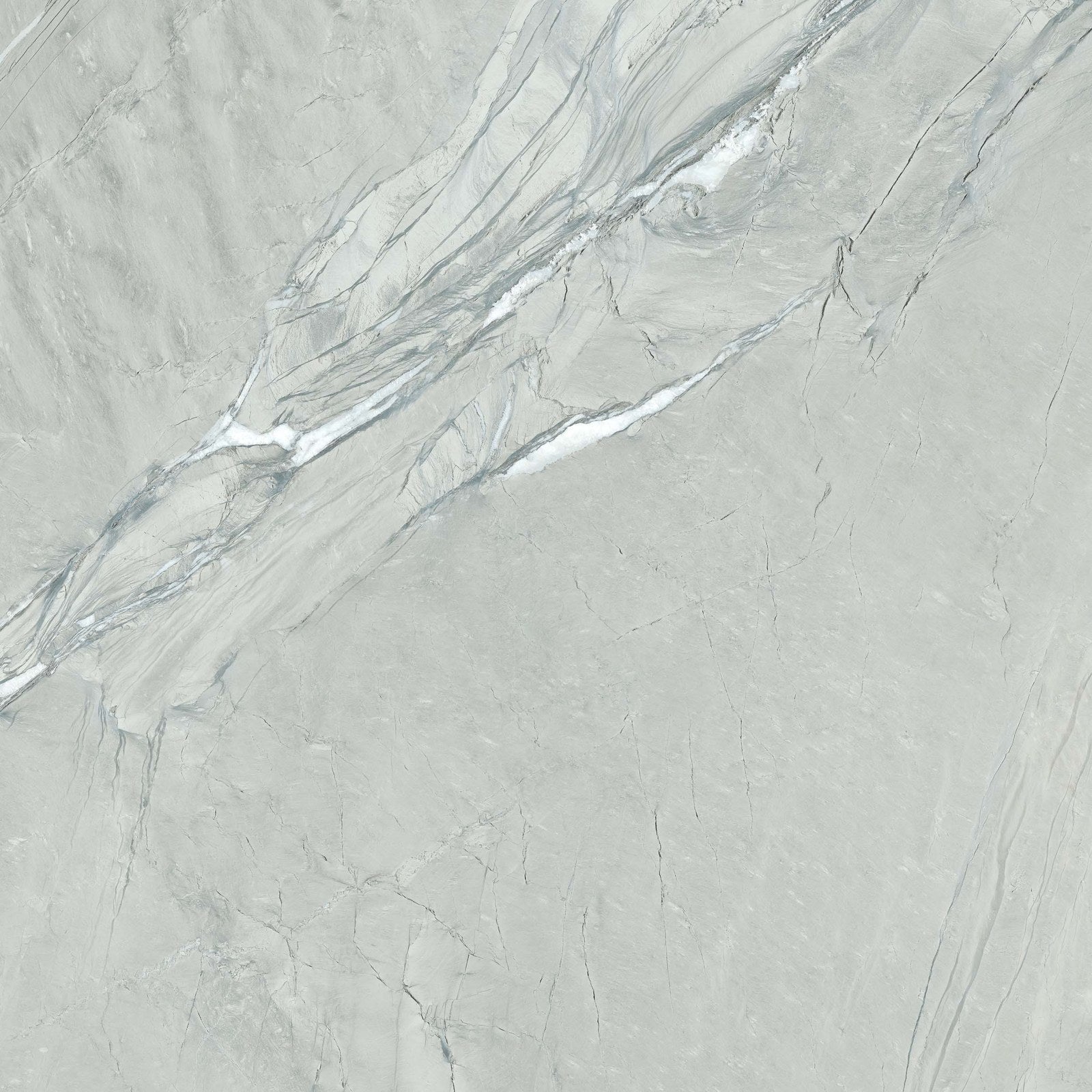 Cardosia — Energieker
