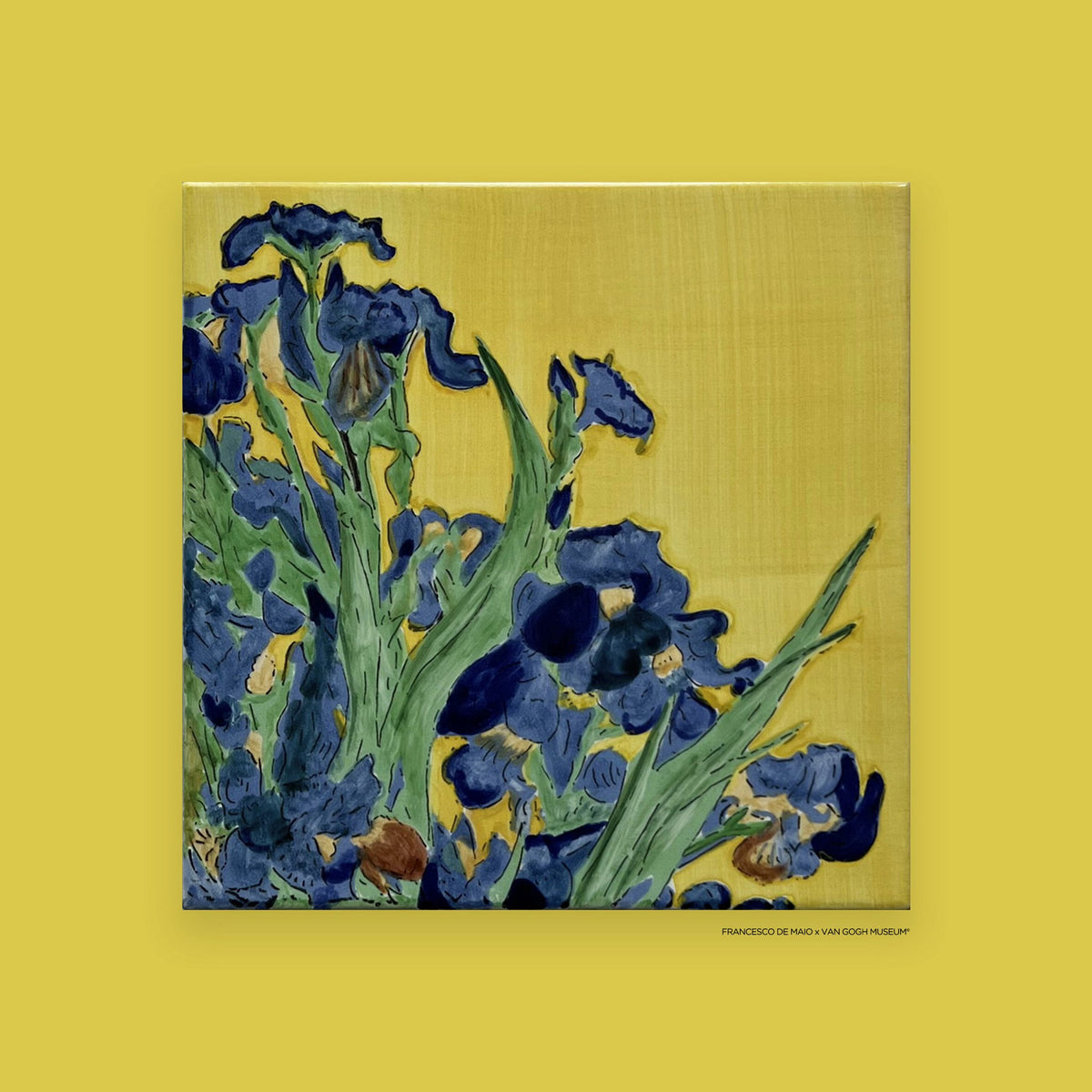 Iris — 20x20