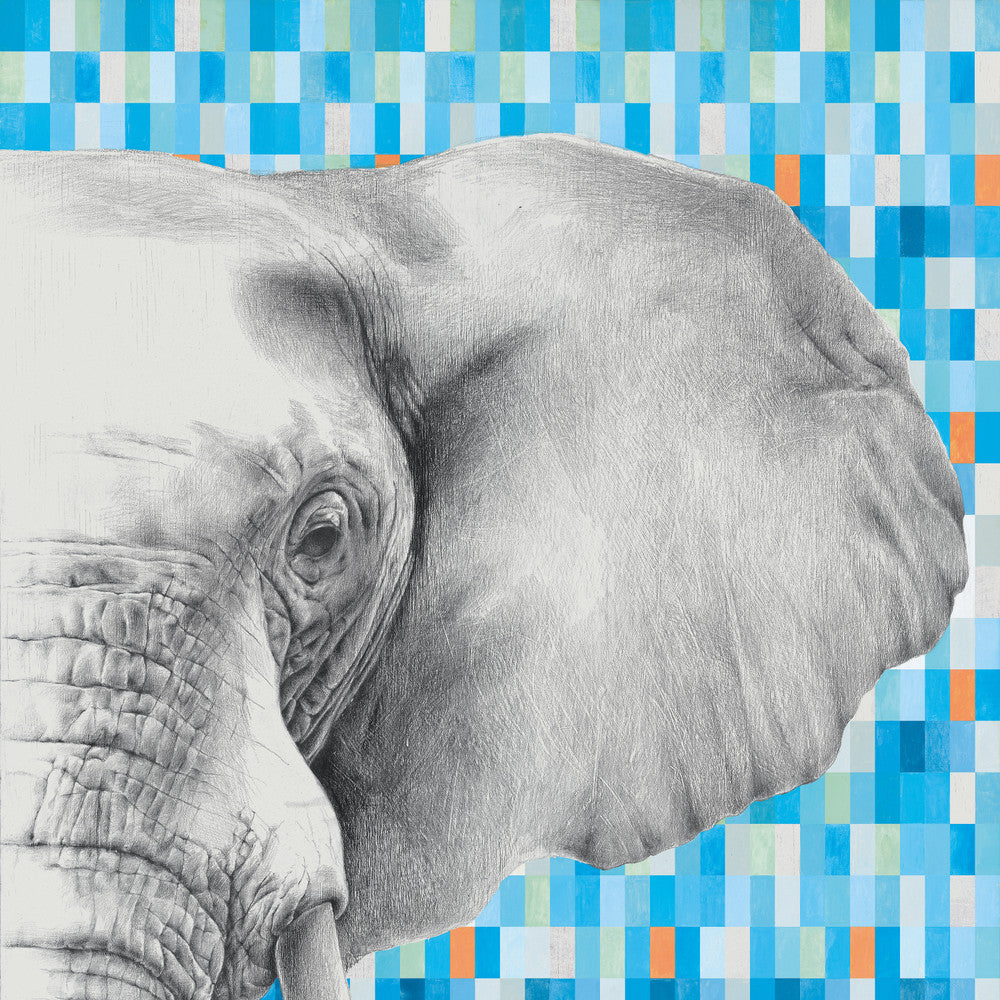 Indomita Elephant — Mirage — Mirage seramik yüzey