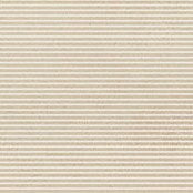 Champagne Stripe