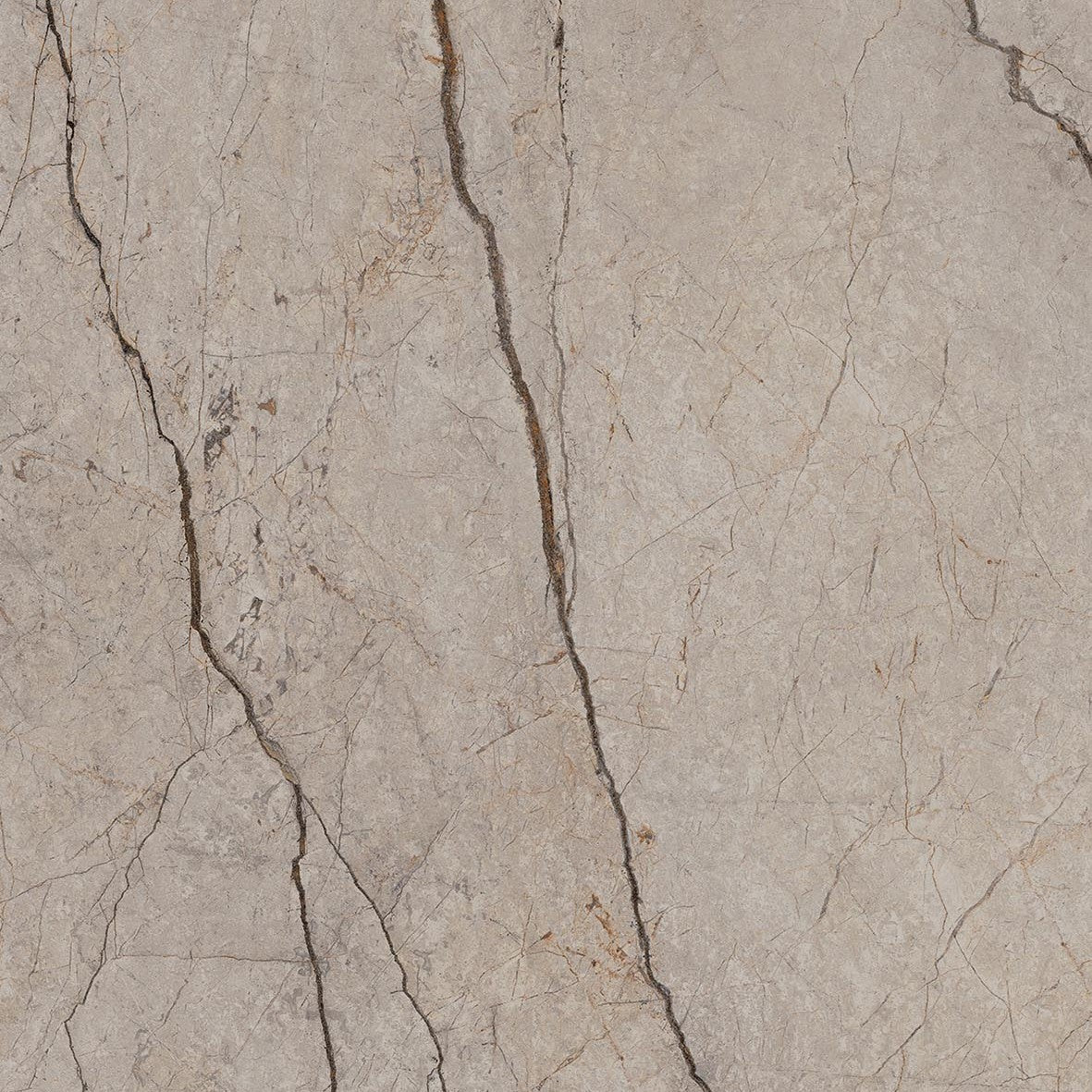 Energieker Silver Root Grey