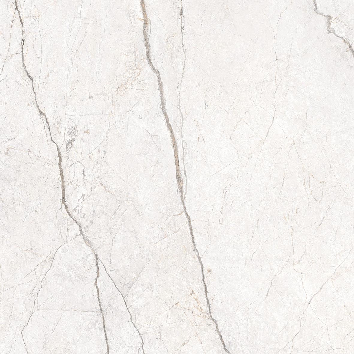 Energieker Silver Root White