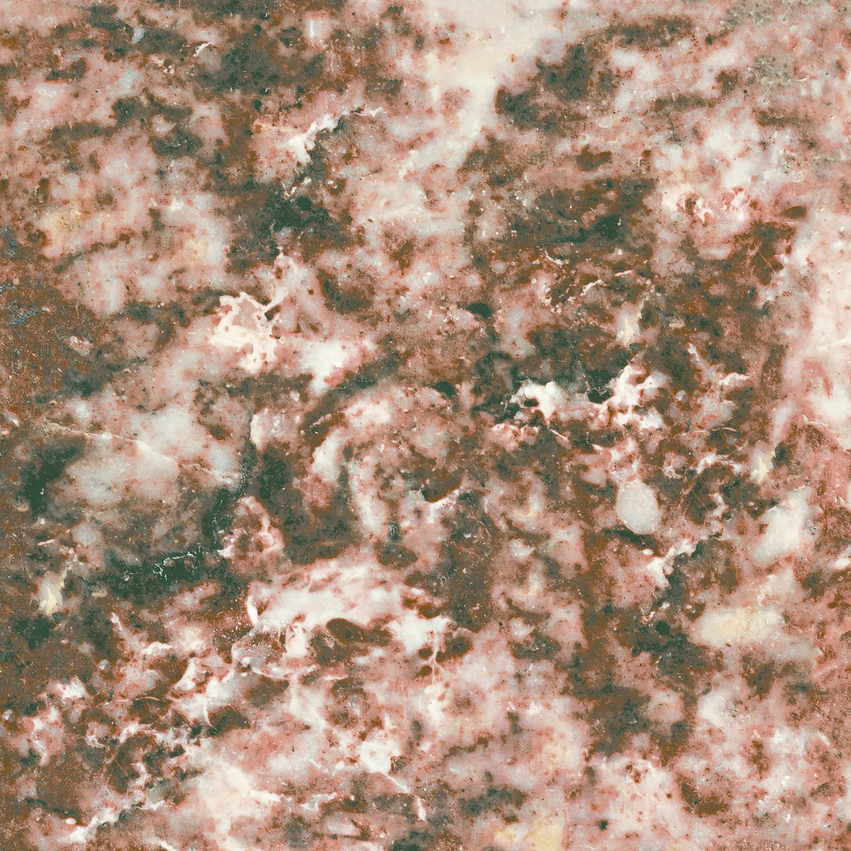 Bordeaux Matt · 23×23 cm