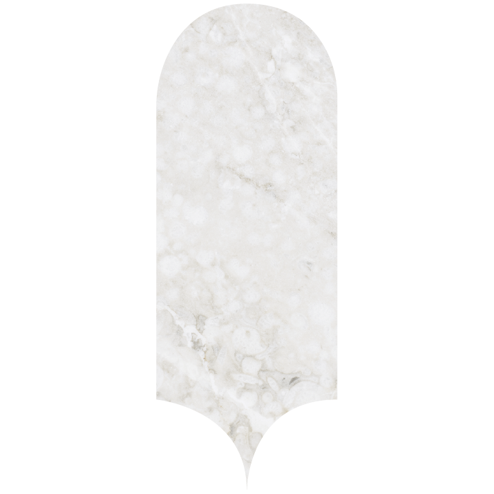 Dual White Glossy · 8×21,5 cm