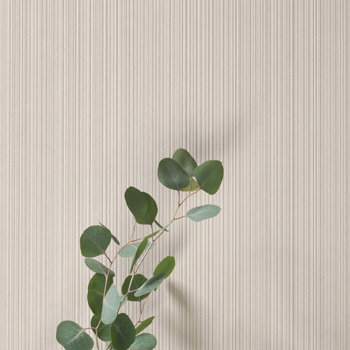 Superclassica SCB — 41zero42