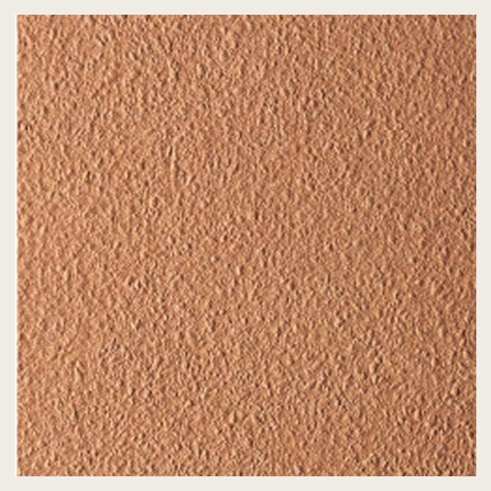 Nok Grains Terra