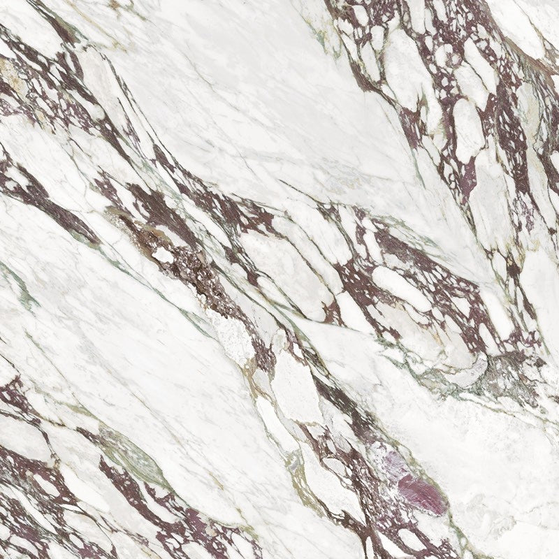 Calacatta Viola — Italstone