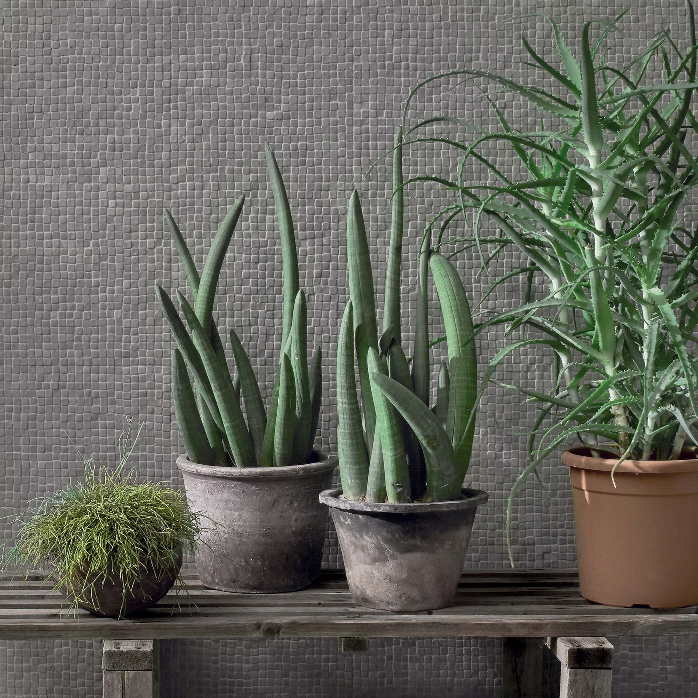 41zero42 Nano Gap koleksiyonu — gri (Grigio) tonlu mini mozaik karo