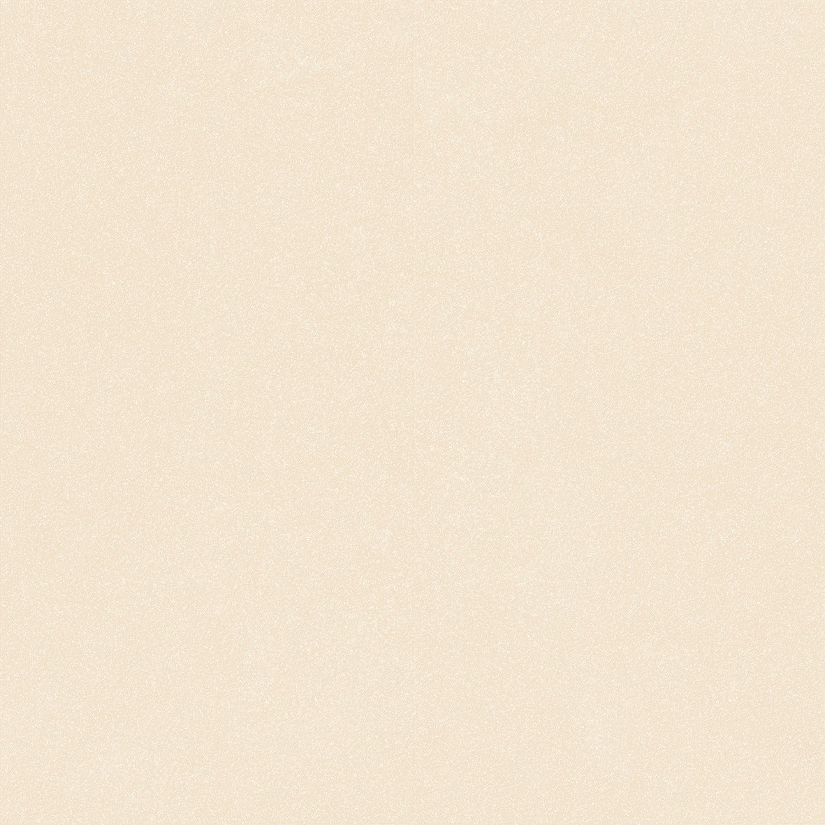 Nok Grains Ivory 60×120