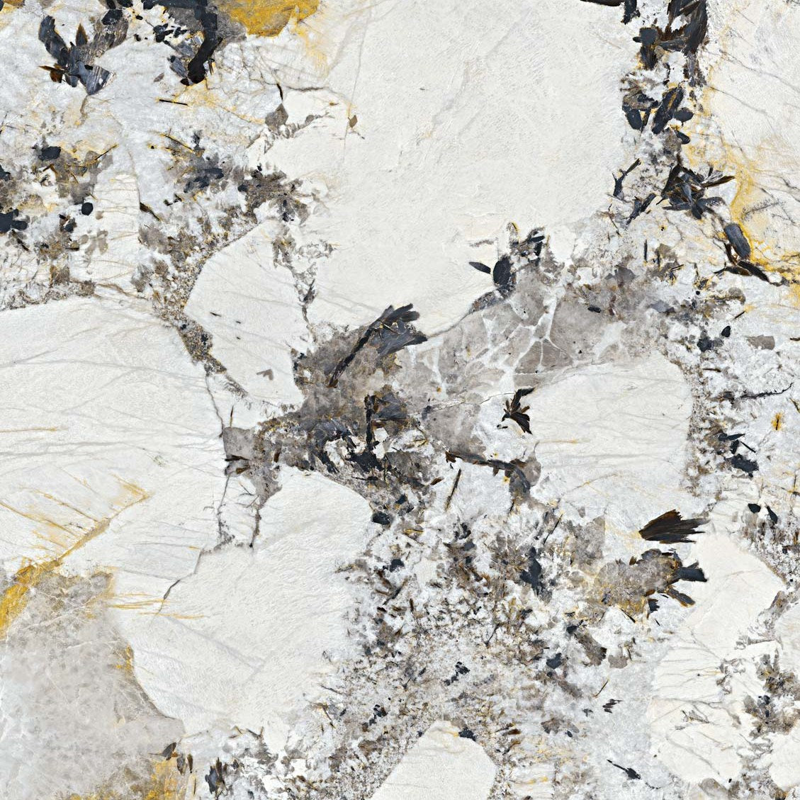 Patagonia — Energieker